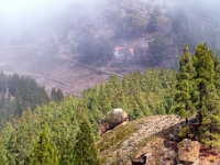 W drodze do Roque Nublo